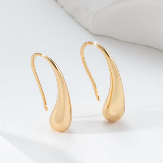 Metal Glossy Surface Ear Hook
